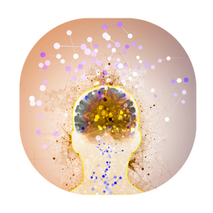 Apprendre à apprendre, attention, mémorisation